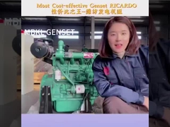 Betrouwbare en ruimtebesparende dieselgenerator 20KW 25KVA met geluidsdichte behuizing