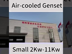 2KW-11KW luchtgekoelde dieselgeneratoren