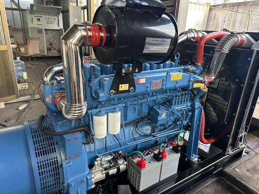 Goede prijs. 200 kW / 250 KVA Open/gesloten/geluidsdichte dieselegenerator online